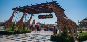 Сафари-парк: что это, особенности Dubai Safari Park и виды животных