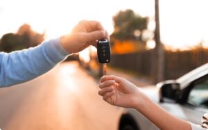 Аренда авто в Камчатке: советы для путешественников